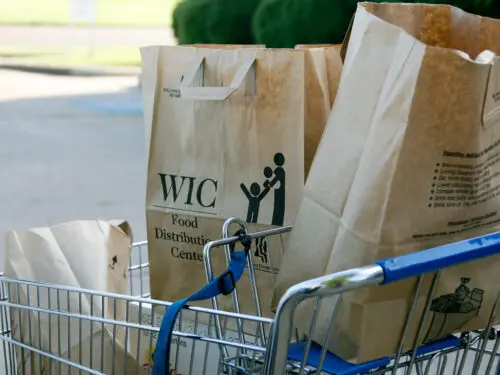 WIC bags in grocery cart